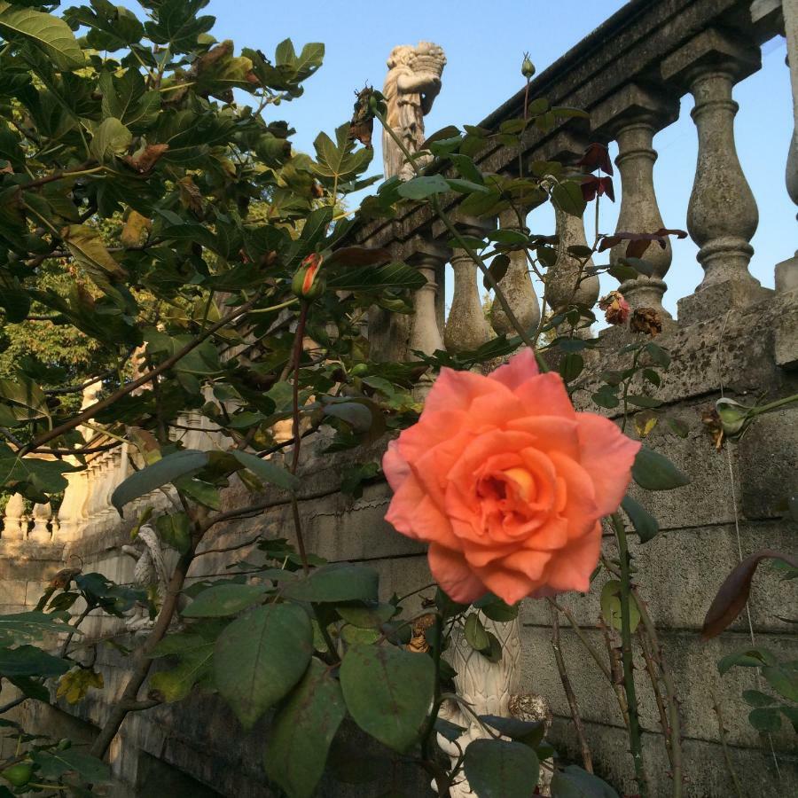 The Mansion House Villa Capannina ノーヴィ・リーグレ エクステリア 写真